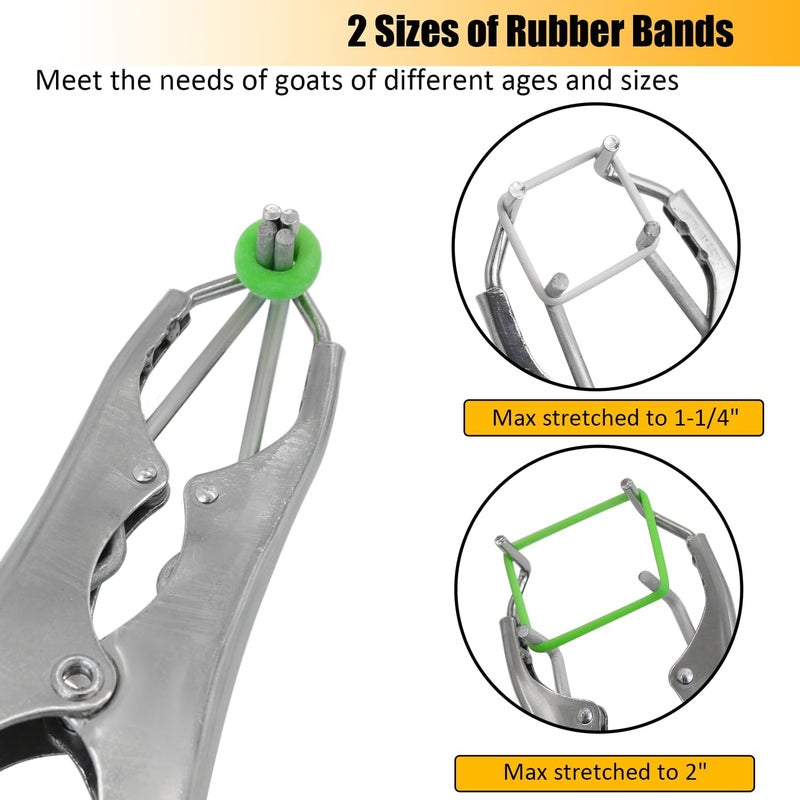 chicarry Goat Banding Kit, Stainless Steel Bander Snap Pliers with 150Pcs 2 Sizes Rings, Ring Installation Tool, Balloon Expander Pliers Tool - Image 3